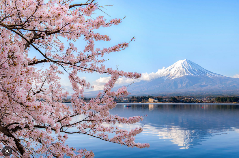 Mount Fuji Japan
